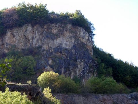 Steile Felswand mit dichter Vegetation an der Spitze und am Fuß. Die Felsen sind grau und von Bäumen umgeben.
