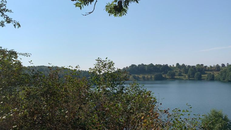 Ein ruhiger See umgeben von Bäumen und Pflanzen. Der klare Himmel spiegelt sich im Wasser wider.