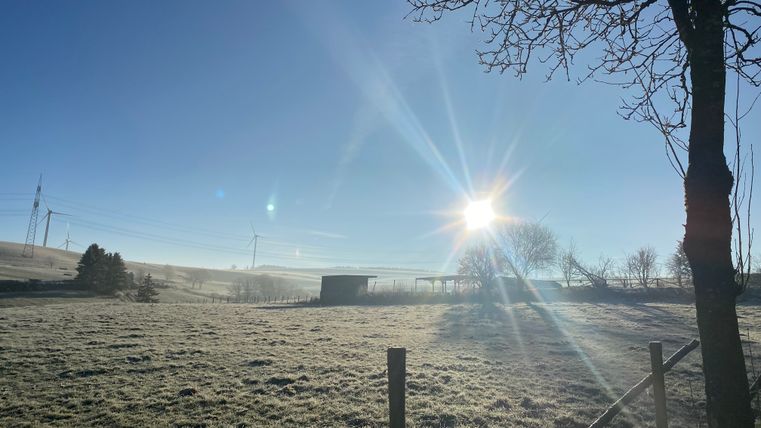 Eine von Frost bedeckte Wiese hinter einem Zaun und unter einem hellblauen Himmel und Sonnenschein.