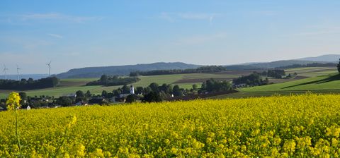 Rapsfeld mit Blick auf ein Dorf und Windräder im Hintergrund.