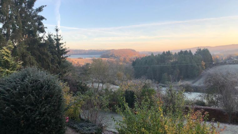 Eine frostige Landschaft mit Bäumen und einer sanften Hügelkette im Hintergrund. Der Himmel ist klar und zeigt die Farben des Morgenlichts.