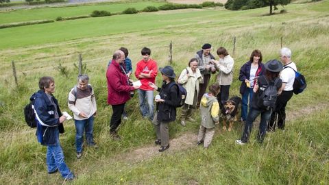 Eine Gruppe Wanderer mit ihrer Krimiführerin auf einem Feldweg