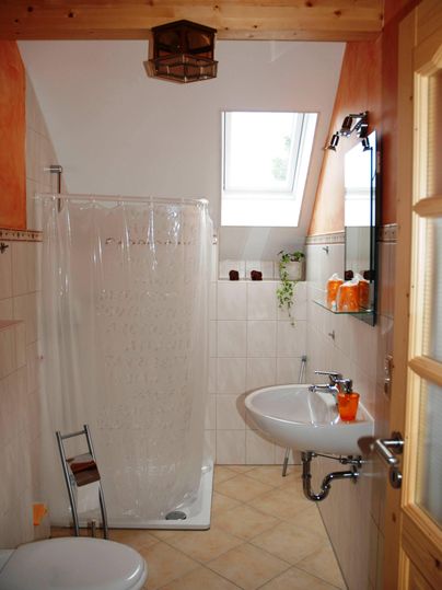 Ein kleines Badezimmer mit einer Dusche, einem Waschbecken und einer Toilette. Der Raum hat eine helle Farbgestaltung und Holzdetails.