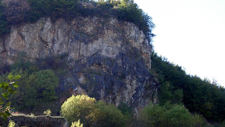 Mur de roche escarpé avec une végétation dense au sommet et à la base. Les rochers sont gris et entourés d'arbres.