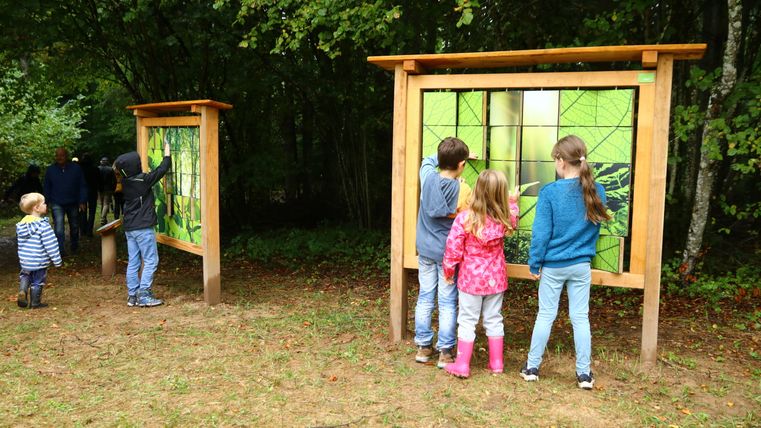 Mehrere Kinder spielen an einer Lernstation im Wald, bestehend aus einer Tafel mit drehbaren Elementen.