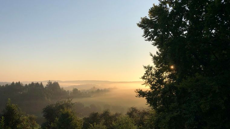 Ein malerischer Sonnenaufgang über nebligen Feldern. Bäume rahmen die friedliche Landschaft ein.