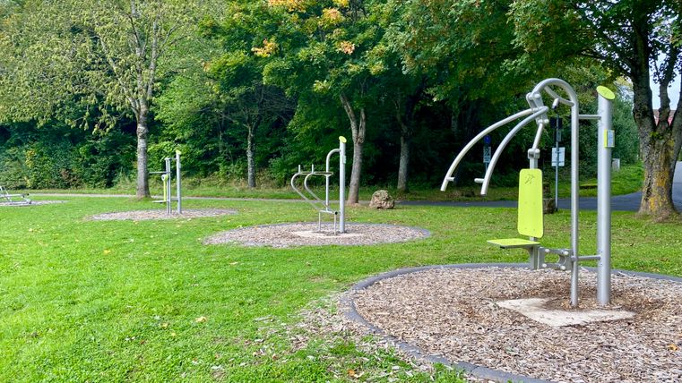Outdoor-Fitnessgeräte auf einer Wiese mit Bäumen im Hintergrund.