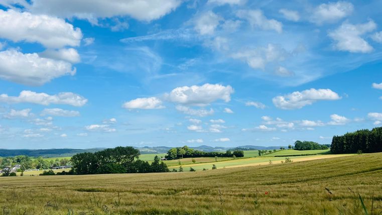 Een uitgestrekt landschap met gouden velden en zachte heuvels. De lucht is blauw en vol fluffy wolken.