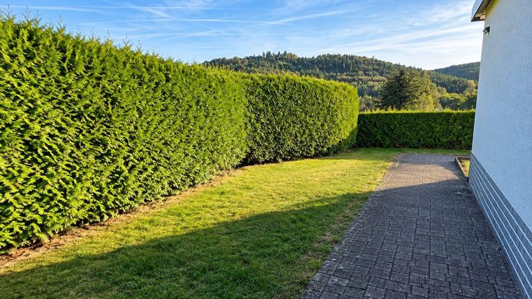 Un paysage de jardin bien entretenu avec de grandes haies et un chemin pavé. À l'arrière-plan, on aperçoit des collines douces et un ciel bleu.