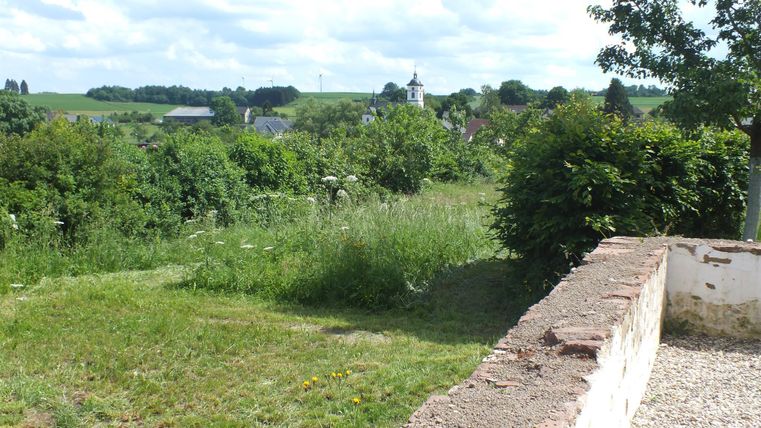 Een groene weide met bomen en struiken onder een heldere lucht. Op de achtergrond zijn enkele gebouwen en heuvels te zien.