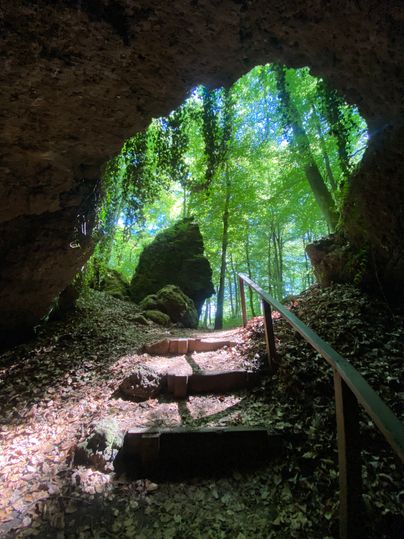 Blick aus einer Höhle zu den aufsteigenden Treppen, die in den angrenzenden Wald führen.