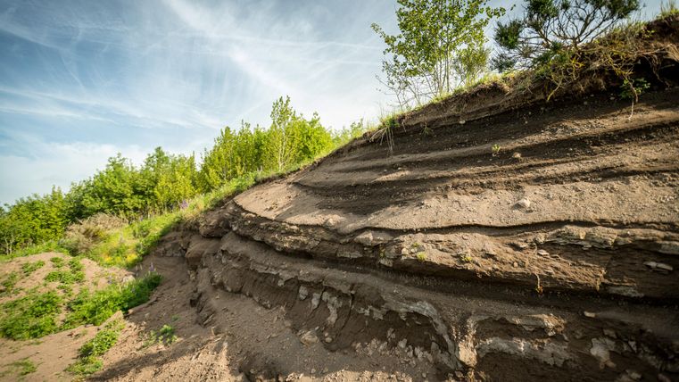 Übereinander gestapelte Erdschichte im Vulkangarten Steffeln. Dahinter mehrere Hecken unter strahlend blauem Himmel.