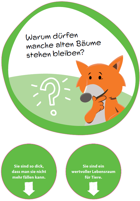 Quiz-Schild zu Alten Bäumen mit Fuchs-Maskottchen.