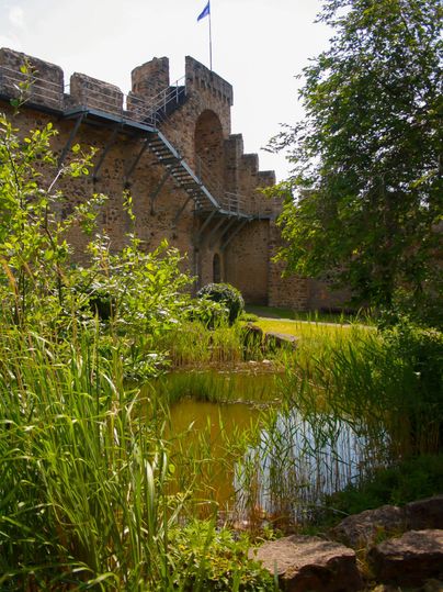 Eine alte Burg umgeben von üppigem Grün und hohen Gräsern. Im Vordergrund ist ein kleiner Teich zu sehen.