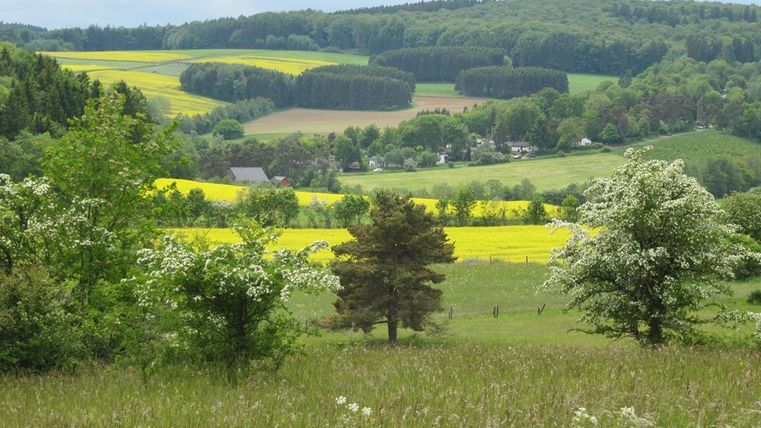 Eine malerische Landschaft mit grünen Wiesen und bunten Feldern. Im Hintergrund sind sanfte Hügel und ein bewölkter Himmel zu sehen.