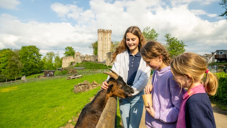 Drei Mädchen streicheln und füttern eine Ziege über einen Zaun hinweg. Hinter ihnen eingezäunte Gehege und eine Burg.