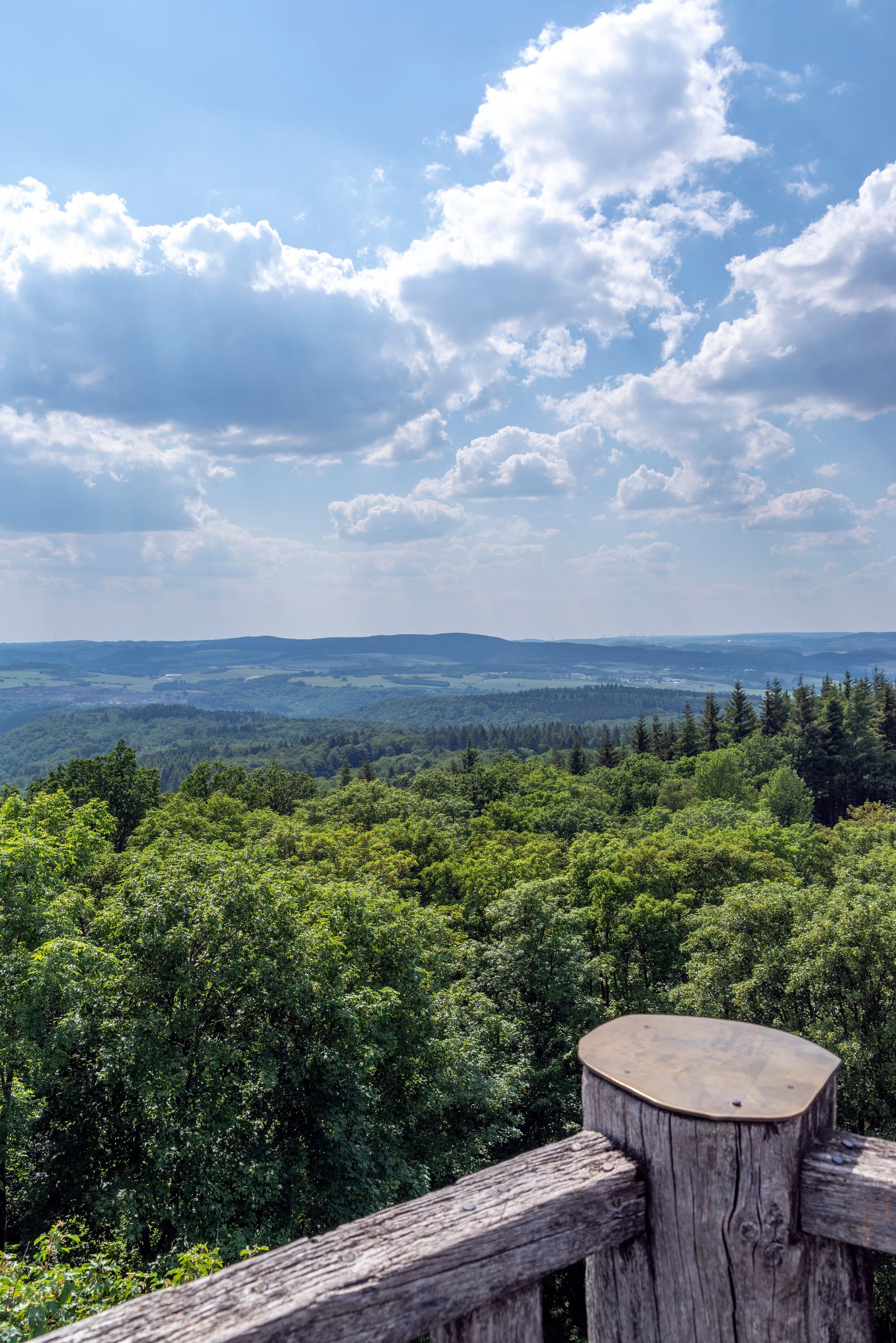 Waldlandschaft unter blauem Himmel mit Wolken von oben fotografiert. Das Geländer einer Aussichtsplattform aus Holz im vorderen Bildbereich.