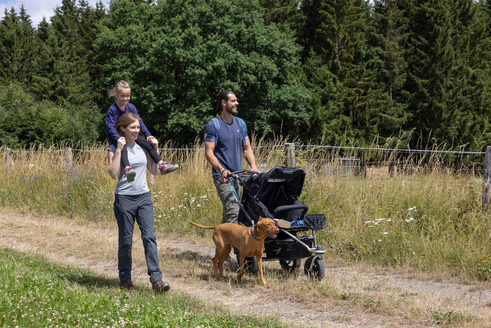 Ein Mann trägt ein Kind auf den Schultern und daneben eine Frau, die einen Kinderwagen schiebt. Neben ihnen läuft ein Hund auf einem Naturpfad am Rande eines Waldes.