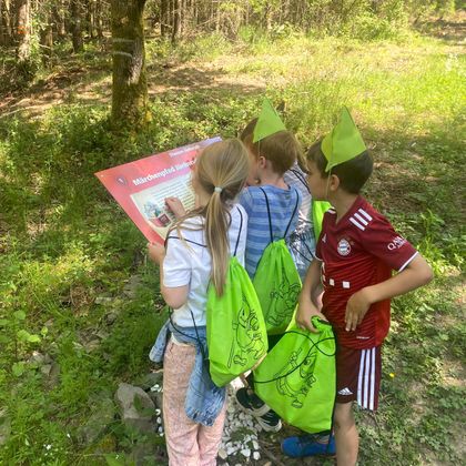 Drei Kinder mit grünen Taschen und Hüten schauen auf ein Informationsschild im Wald. Sie sind neugierig und erkunden die Natur.