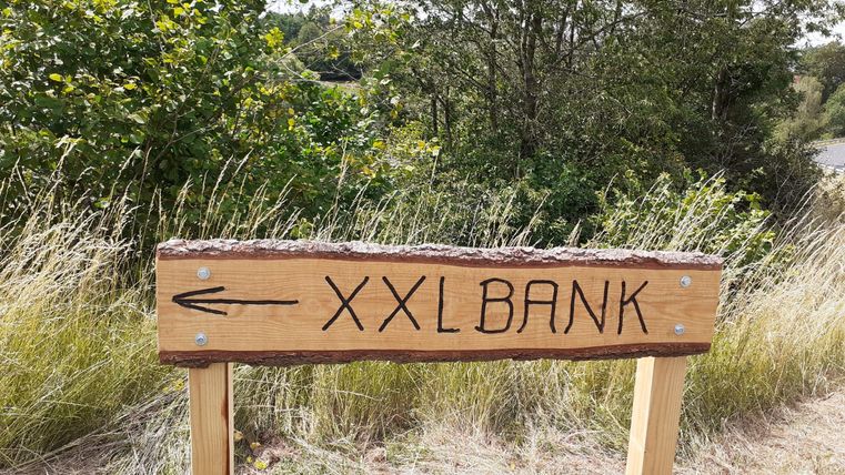 Holzschild mit der Aufschrift 'XXL BANK' und einem Pfeil nach links, umgeben von Gras und Bäumen.