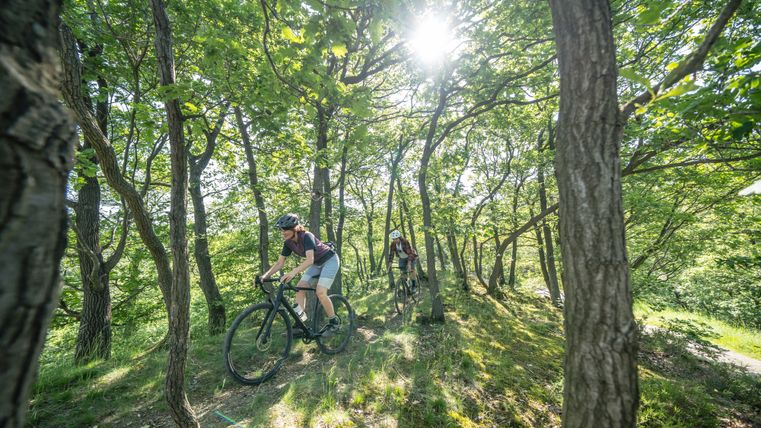 Zwei Radfahren auf Gravelbikes fahren durch einen dichten Laubwald auf einem schmalen Pfad. Die Sonne scheint durch die Bäume hindurch.