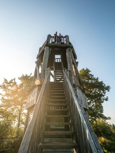 Ein hölzerner Aussichtsturm mit Treppe, zwei Personen oben, umgeben von Bäumen im Sonnenlicht.