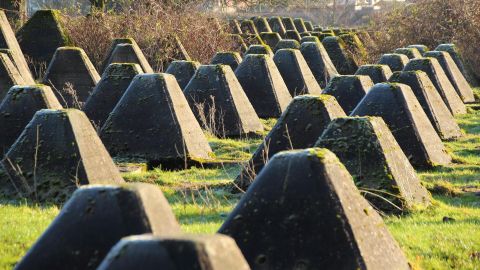Betonpanzersperren des Westwalls, bekannt als "Höckerlinie", stehen in Reihen auf einer grünen Wiese.