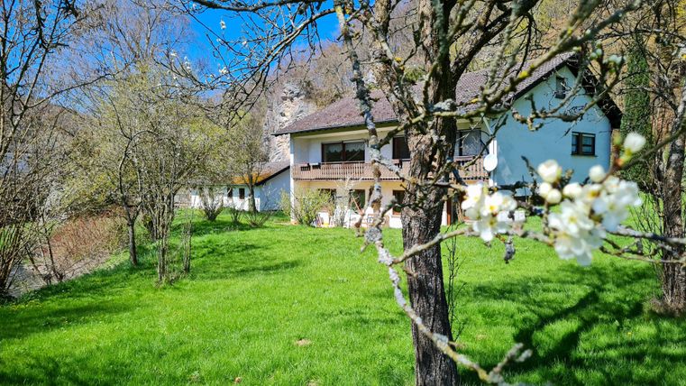 A cozy house surrounded by green grass and trees. In the foreground, white flowers are blooming.
