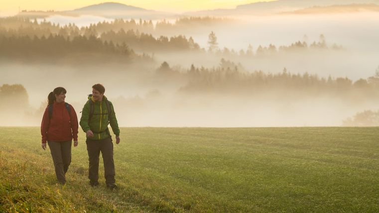 Un couple marche main dans la main à travers un champ vert dans la brume. En arrière-plan, des forêts et des collines douces sont visibles, tandis que le soleil se lève.