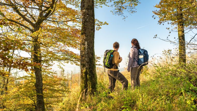 Zwei Wanderer umgeben von Wiesen und Bäumen schauen in die Ferne.