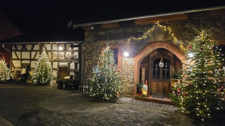 Ein festlich beleuchteter Eingang zu einem Gebäude mit traditionellen Steinen. Umgeben von geschmückten Tannenbäumen strahlt die Szene eine gemütliche Weihnachtsatmosphäre aus.