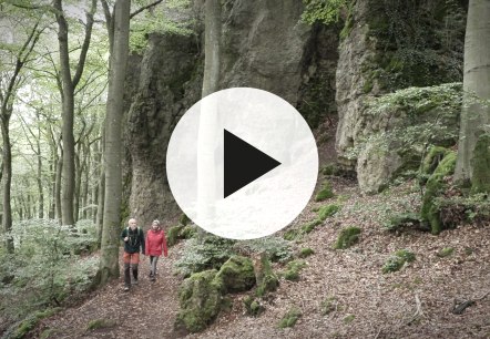 Wandelaars op het Gerolsteiner Felsenpfad met videoplayknop op de voorgrond.