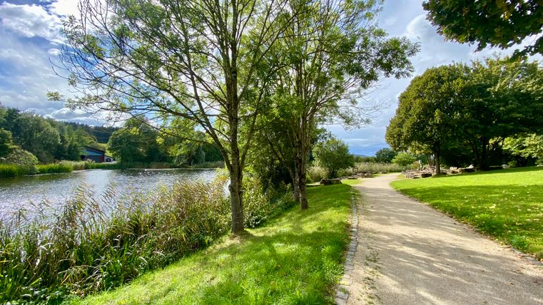 Ein Weg führt an einem Teich vorbei, umgeben von Bäumen und Gras im Bolsdorfer Tälchen.