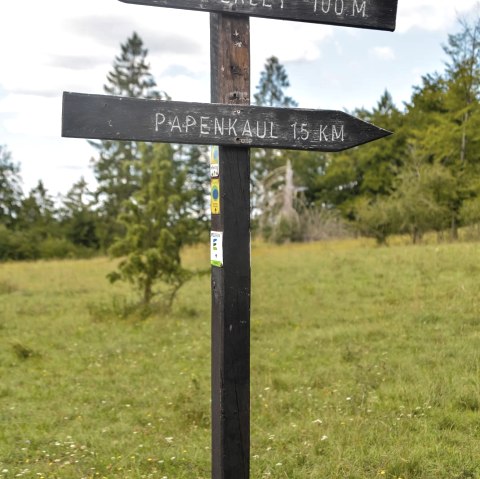 Wegweiser, &copy; Thomas Hendele