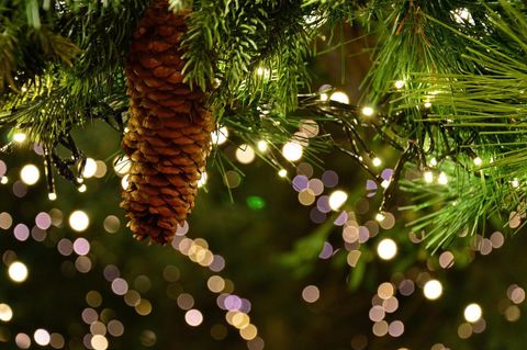 A beautiful Christmas decoration featuring fir branches and a large pinecone. In the background, lights of various colors twinkle.