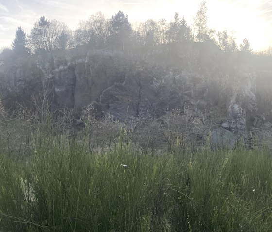 Felsige Vulkanwand im Vulkangarten Steffeln. Rundherum dichte Vegetation und Sonnenuntergang hinter den Felsen.