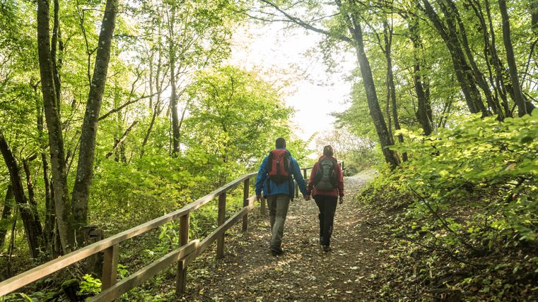 Zwei Wanderer auf einem Waldweg in der Eifel.