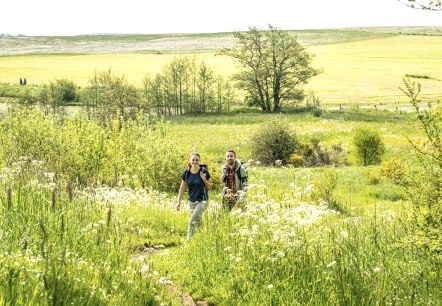 Bl&uuml;hende gr&uuml;ne Wiesen und weite Landschaften. Mitten darin zwei Wanderer auf dem Weg.