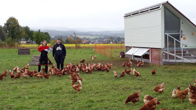 Zwei Personen stehen auf einer Wiese mit vielen Hühnern. Rechts ist ein mobiler Hühnerstall zu sehen. Im Hintergrund sind Bäume und ein Dorf erkennbar.