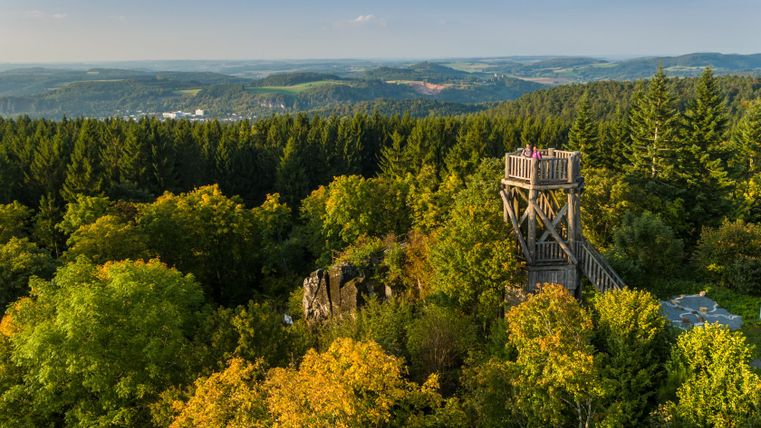 Aussichtsturm Dietzenley inmitten eines herbstlichen Waldes mit weitem Blick über die Landschaft.