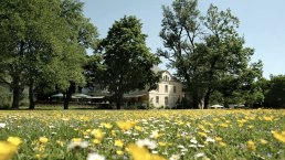 Au&szlig;enansicht Nells Park