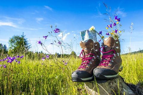 Zwei Wanderschuhe stehen auf einem Baumstumpf in einer blühenden Wiese. Der Himmel ist klar und blau, umgeben von bunten Blumen.