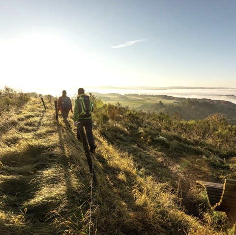 Eifelsteig Wanderer Rother Kopf, &copy; Eifel Tourismus GmbH, Dominik Ketz