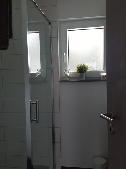 Ein modernes Badezimmer mit einer Glasdusche und einem Fenster. Auf der Fensterbank steht eine kleine Pflanze.