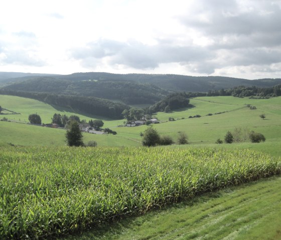 Grüne Felder und Hügel erstrecken sich unter einem bewölkten Himmel. Ein kleines Dorf liegt eingebettet in die Landschaft., © Touristik GmbH Gerolsteiner Land, Ute Klinkhammer