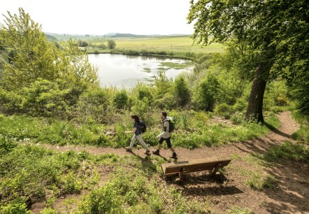 Two hikers on a path at Eichholzmaar in the Eifel. The Maarsee lake and green landscape in the background. A bench stands at the edge of the path., &copy; Eifel Tourismus GmbH, Dominik Ketz