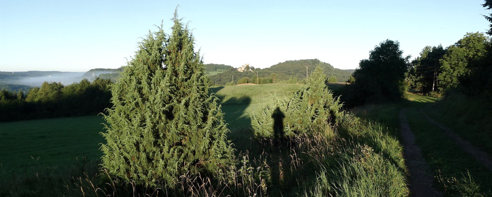 Mein Freund der Baum, &copy; Johannes Munkler