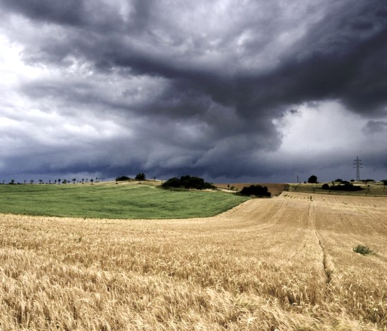 Dramatische wolken drijven over een uitgestrekt graanveld en groene weiden. Aan de horizon staat een hoogspanningsmast., &copy; Molitor
