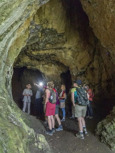Eine Gruppe von Menschen erkundet die Buchenlochhöhle in Gerolstein. Eine Person zeigt mit einer Taschenlampe auf die Höhlenwand.
