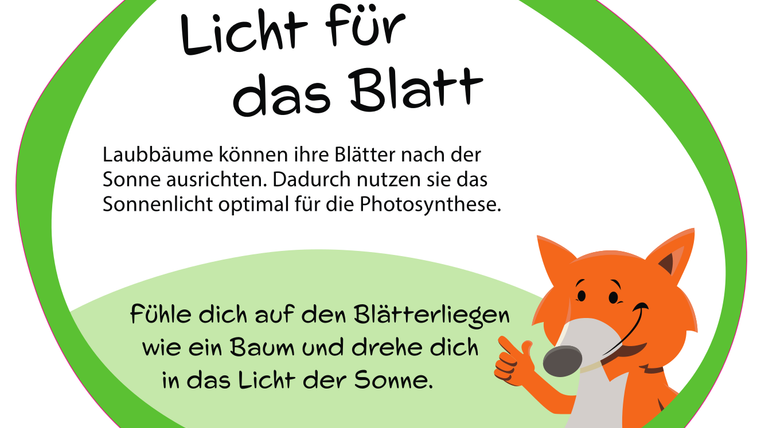 Informationsschild "Licht für das Blatt" mit Fuchs-Maskottchen